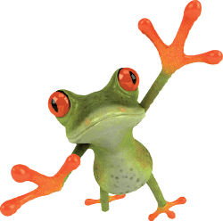 Podotherapie Novopraktijk